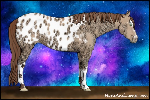 Horse Color:White Spotted Amber Champagne Ice Near Leopard