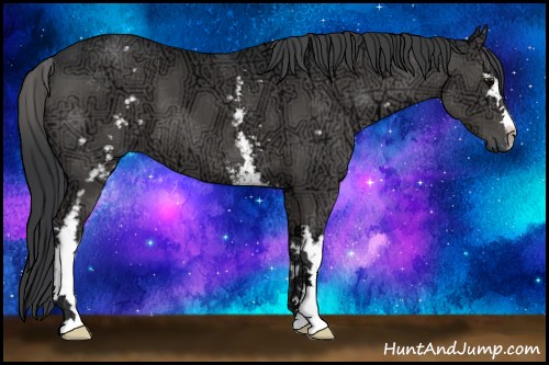 Horse Color:White Spotted Black Ice 