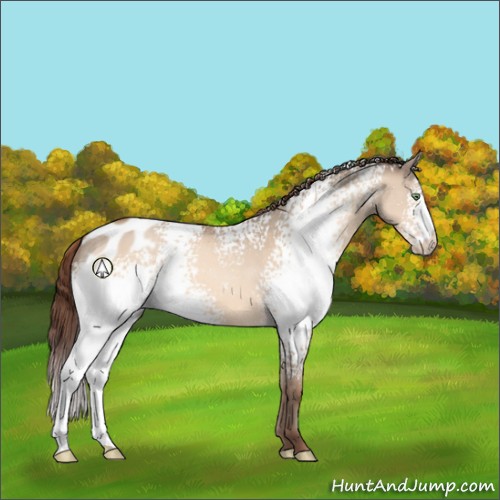 Horse Color:White Spotted Amber Champagne Dun Appaloosa 