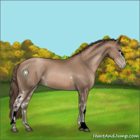 Horse Color:White Spotted Black Pearl 