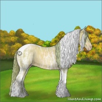 Horse Color:Watercolor Gold Champagne Ice Tobiano Rabicano 