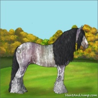 Horse Color:White Spotted Brown Ice Tobiano Rabicano 