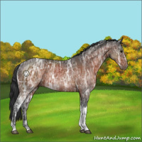 Horse Color:Brown Ice Tobiano 