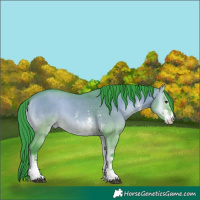 Horse Color:Watercolor Bay Onyx Sabino