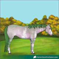 Horse Color:Watercolor White Spotted Brown Dun 