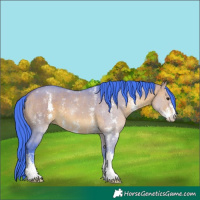 Horse Color:Watercolor Bay Dun Sabino 