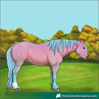 Horse Color:Watercolor Brown Dun 