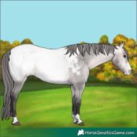 Horse Color:Platinum Buckskin Near Fewspot 