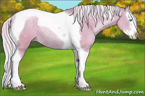 Horse Color:Watercolor Silver Buckskin Pearl Splash Tobiano Rabicano 