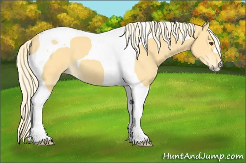 Horse Color:Palomino Dun Tobiano