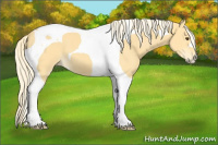 Horse Color:Palomino Dun Tobiano