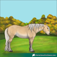 Horse Color:Silver Buckskin Dun