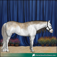 Horse Color:White Spotted Buckskin Dun Splash 