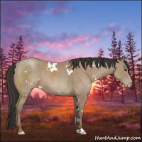 Horse Color:White Spotted Classic Champagne Sabino 