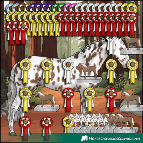 Horse Color:White Spotted Liver Chestnut Mushroom Appaloosa 