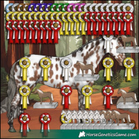 Horse Color:White Spotted Liver Chestnut Mushroom Appaloosa 