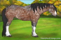 Horse Color:Bay Ice 