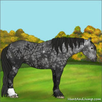 Horse Color:Gray Black Ice 