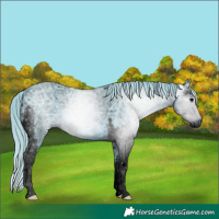 Horse Color:ERROR: UNKNOWN ANOMALY