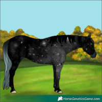 Horse Color:ERROR: UNKNOWN ANOMALY