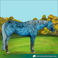 Horse Color:ERROR: UNKNOWN ANOMALY