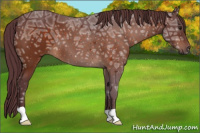 Horse Color:Chocolate Brown Ice
