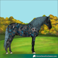 Horse Color:ERROR: UNKNOWN ANOMALY