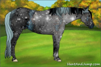 Horse Color:ERROR: UNKNOWN ANOMALY