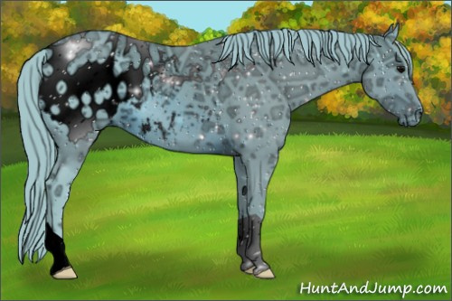 Horse Color:ERROR: UNKNOWN ANOMALY