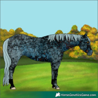 Horse Color:ERROR: UNKNOWN ANOMALY