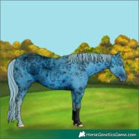 Horse Color:ERROR: UNKNOWN ANOMALY