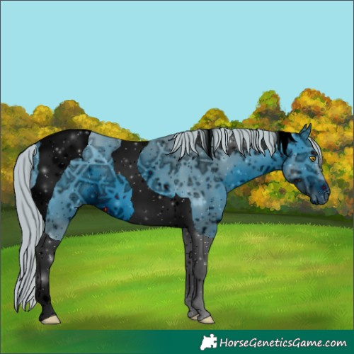 Horse Color:ERROR: UNKNOWN ANOMALY