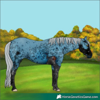 Horse Color:ERROR: UNKNOWN ANOMALY