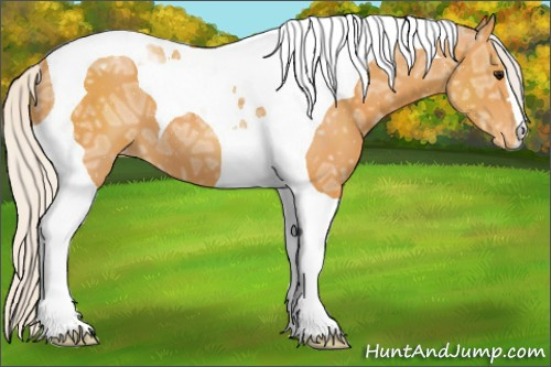 Horse Color:Silver Buckskin Ice Tobiano Appaloosa