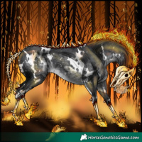 Horse Color:White Spotted Silver Black Chinchilla 