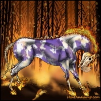 Horse Color:Watercolor White Spotted Black Chinchilla Appaloosa 