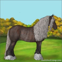 Horse Color:Silver Brown Rabicano 