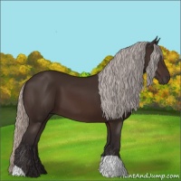 Horse Color:Silver Brown 