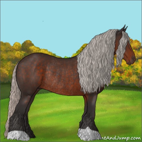 Horse Color:Silver Brown Rabicano