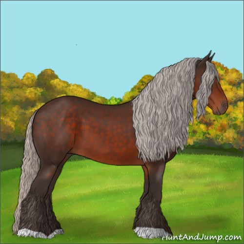 Horse Color:Silver Brown 
