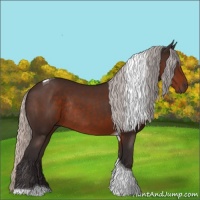 Horse Color:Silver Brown Tobiano Rabicano