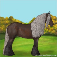 Horse Color:Silver Brown Rabicano 