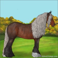 Horse Color:Silver Brown Rabicano 