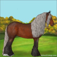 Horse Color:Silver Brown 