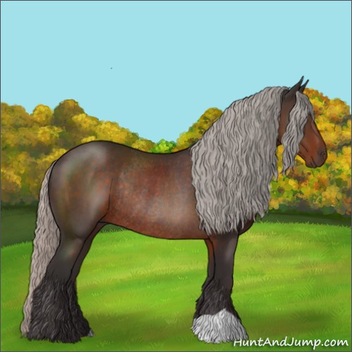 Horse Color:Silver Brown Rabicano 
