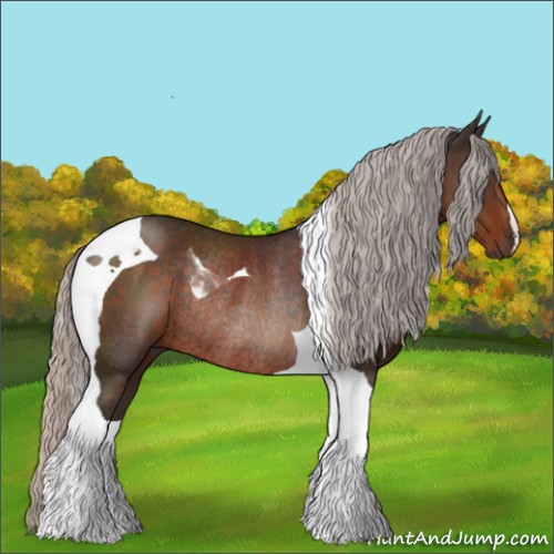 Horse Color:Silver Brown Tobiano Rabicano 