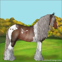 Horse Color:Silver Brown Tobiano Rabicano