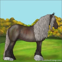 Horse Color:Silver Brown Rabicano 