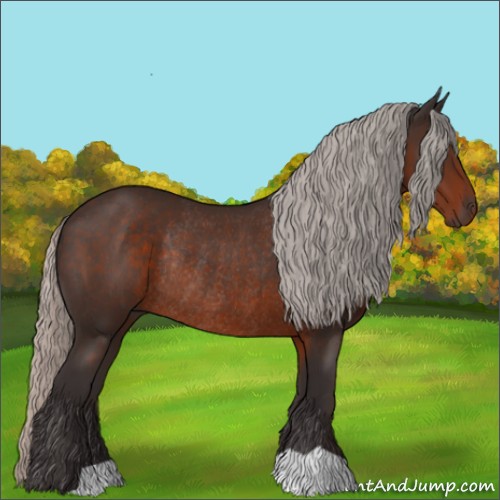 Horse Color:Silver Brown Rabicano