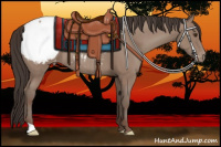 Horse Color:Classic Champagne Appaloosa Rabicano 